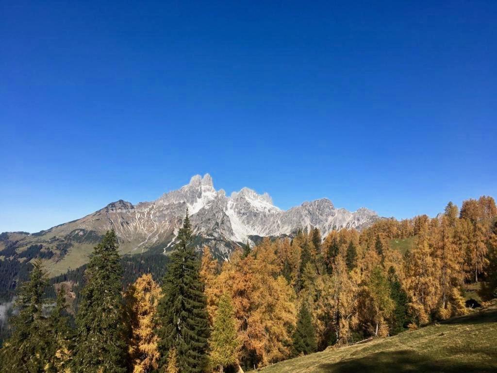 Appartementhaus Reiter Altenmarkt im Pongau Dış mekan fotoğraf
