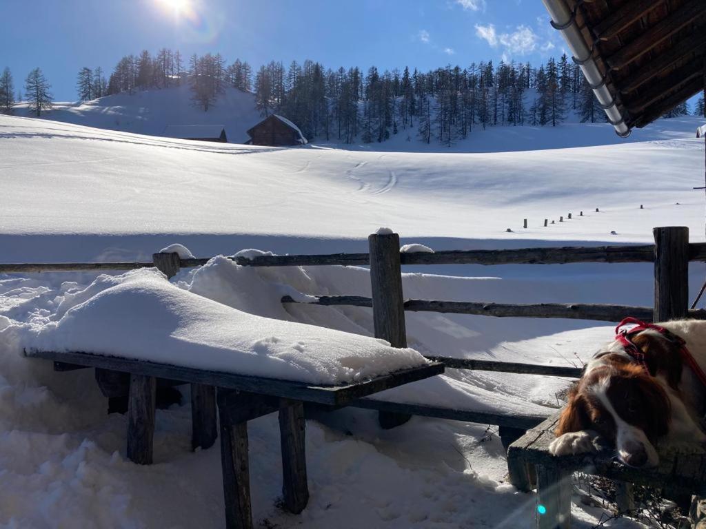 Appartementhaus Reiter Altenmarkt im Pongau Dış mekan fotoğraf